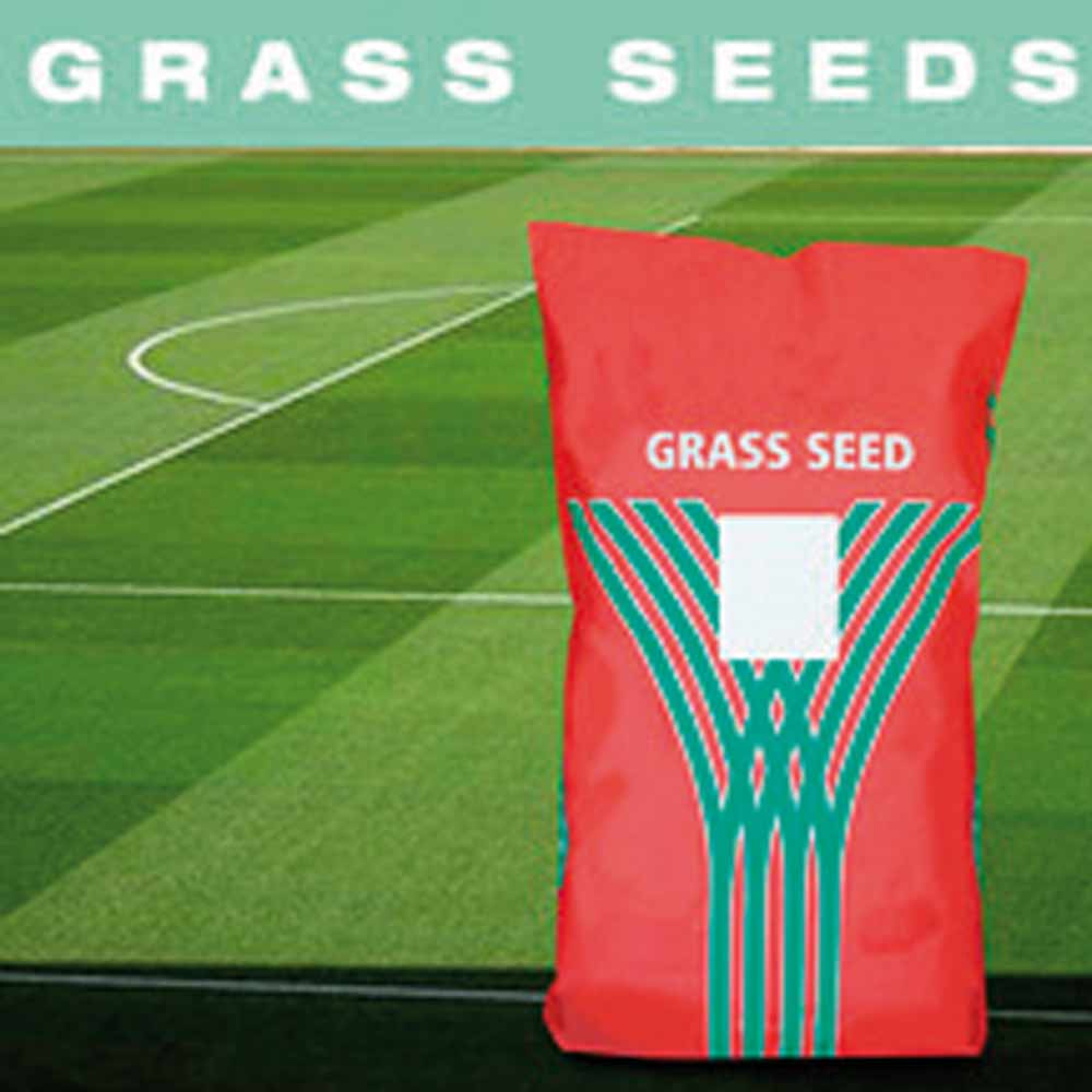 Outfield Football and Rugby Pitch Grass Seed Mark Harrod Ltd.