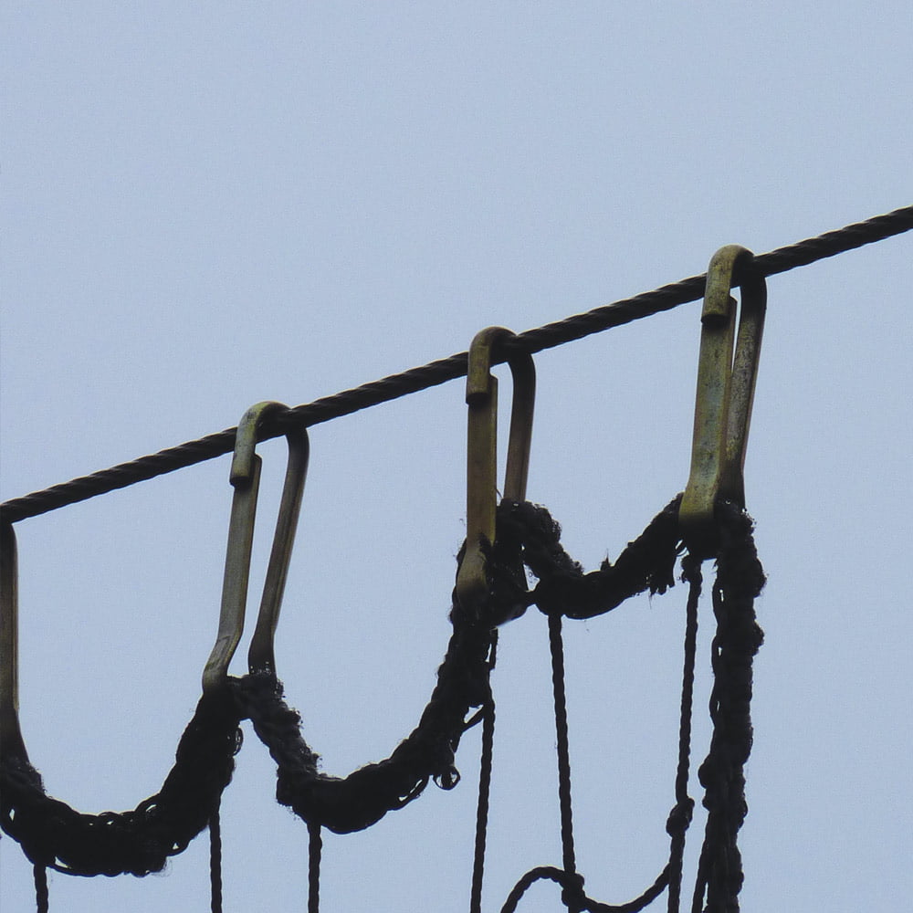 Dogclips Stainless Steel Dog Clips Mark Harrod Ltd