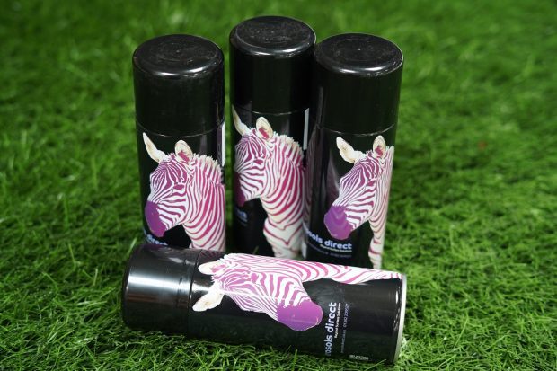 White Touch Up Paint