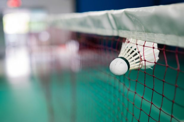 Singles Badminton Nets