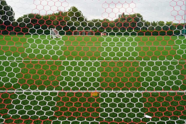 24x8ft Hexagonal Chequered Nets - Socketed, Hexagonal Chequered Nets - Freestand