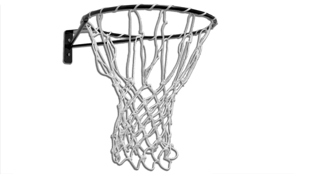 International Netball Nets