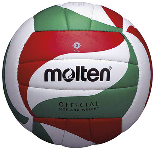 Molten V5M1800-L Volleyball