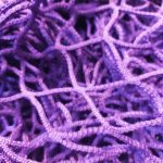 Purple Hockey Target Nets, Purple Hockey Nets
